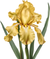 närbild av en blomning iris blomma. ai-genererad. png