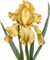 Close-up of a blooming iris flower. AI-Generated. png