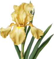 fermer de une épanouissement iris fleur. ai-généré. png