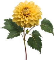 närbild av en blomning dahlia blomma. ai-genererad. png