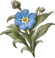 Close-up of a blooming forget-me-not flower. AI-Generated. png