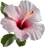 Close-up of a blooming hibiscus flower. AI-Generated. png