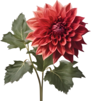 Close-up of a blooming dahlia flower. AI-Generated. png