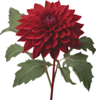 Close-up of a blooming dahlia flower. AI-Generated. png