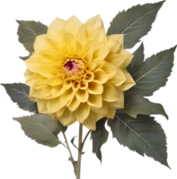 detailopname van een bloeiend dahlia bloem. ai-gegenereerd. png