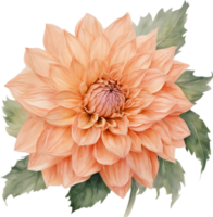 fermer de une épanouissement dahlia fleur. ai-généré. png