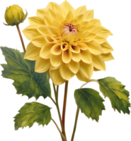 fermer de une épanouissement dahlia fleur. ai-généré. png