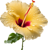 Close-up of a blooming hibiscus flower. AI-Generated. png