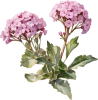 Close-up of a blooming desert sand verbena flower. AI-Generated. png