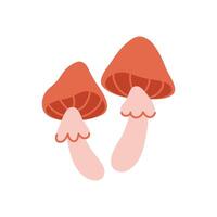 Mushrooms. Hand drawn illustration. vector