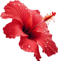 Close-up of a blooming hibiscus flower. AI-Generated. png