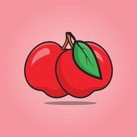 Two cherries with a green leaf on the top of them vector