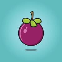 Purple Mangosteen isolated. Mangosteen fruit illustration design vector