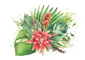 Watercolor illustration of tropical flowers and green leaves, red blooms and lush foliage Hand drawn clipart. Exotic composition on stains, splashes, brush stroke background for card design. png