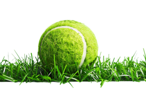 tennis Balle sur herbe transparent Contexte png
