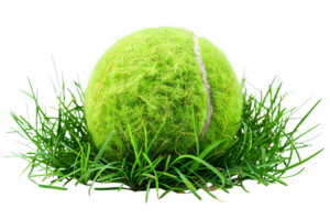tennis Balle sur herbe transparent Contexte png