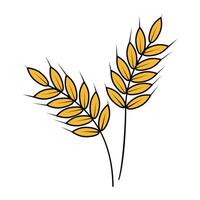 Wheat ears icon, logo isolated on white background vector