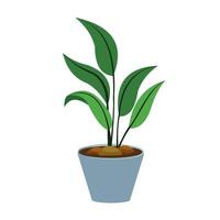 Indoor Green Leaf Potted Plant Icon vector