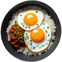 A bowl of rice and delicious fried egg png