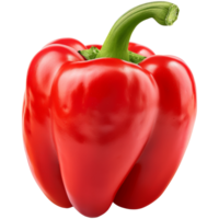 realistisk paprika, transparent bakgrund png