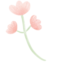 A bouquet of pink flowers png