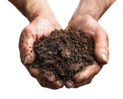 Farmers hands holding soil mixed with homemade compost isolated png