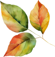 Vintage leaves clipart png