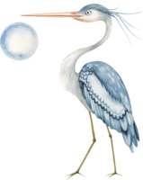 süß Reiher Angeln Mondlicht Aquarell png