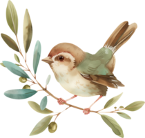 Cute Sparrow Carrying Olive Branch watercolor png