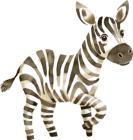 carino zebra attraversamento strada acquerello png