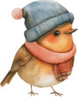 Cute Robin Wearing Beret watercolor png