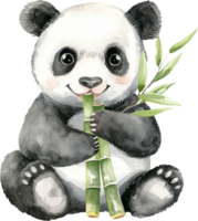 fofa panda comendo bambu aguarela png