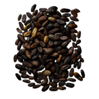 Close-up of roasted brown coffee beans isolated on a transparent background png