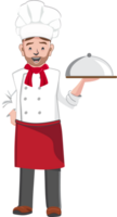 professioneel chef karakters, illustratie tekenfilm karakter. png