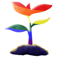 Pride month and rainbow trees png