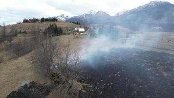 brandend veld- De volgende naar huizen. donker land- veroorzaakt door brand. Woud brand. Gevaar van brand in de buurt huizen. video