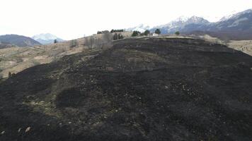 bruciato campo Il prossimo per case. buio terra causato di fuoco. foresta fuoco. Pericolo di fuoco vicino case. video