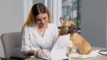 Medicine, pet care and people concept - doctor with clipboard taking notes with dog diagnosis at vet clinic video