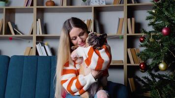 eleganta kvinna i mysigt Tröja stroke och kramar förtjusande franska bulldogg i festlig dekorerad rum video