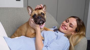 ein Schön, süß beiläufig Frau Schlaganfälle bezaubernd Französisch Bulldogge auf grau Sofa im Leben Zimmer von Haus. Haustier ist ihr Familie und freunde im Lebensstil video