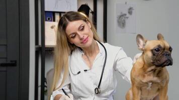 Medicine, pet care and people concept - doctor with clipboard taking notes with dog diagnosis at vet clinic video