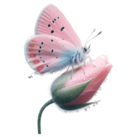 Pink Butterfly perched on a flower bud Sublimation Clipart png