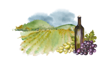 uma garrafa do vinho, uma vidro e uvas contra uma fundo do Campos e montanhas. aguarela ilustrações para cartões, scrapbooking. mão desenhado aguarela ilustração. vinho vintage fundo png