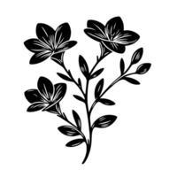 Black and white Silhouette of a abstract plant as a symbol for nature vector