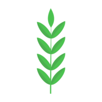 Simple tree and green leaves on transparent background, suitable for graphics work, cartoon design. png