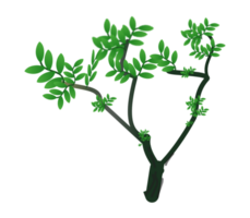 Simple tree and green leaves on transparent background, suitable for graphics work, cartoon design. png
