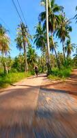 vrouw loopt langs een toneel- weg met palm bomen Aan tropisch eiland, Thailand video