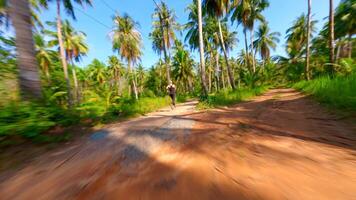mujer carreras a lo largo un escénico la carretera con palma arboles en tropical isla, Tailandia video