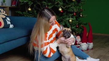 élégant femme dans confortable chandail coups et câlins adorable français bouledogue dans de fête décoré pièce video