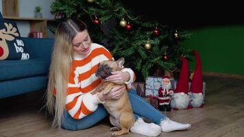 Stylish woman in cozy sweater strokes and hugs adorable french bulldog in festive decorated room video